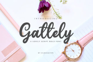 Gattely Typeface Review: Adding Playful Personality to Campaign Graphics