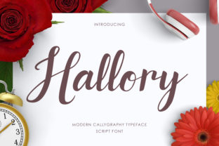 Hallory: A Designer’s Honest Review of This Script Amp