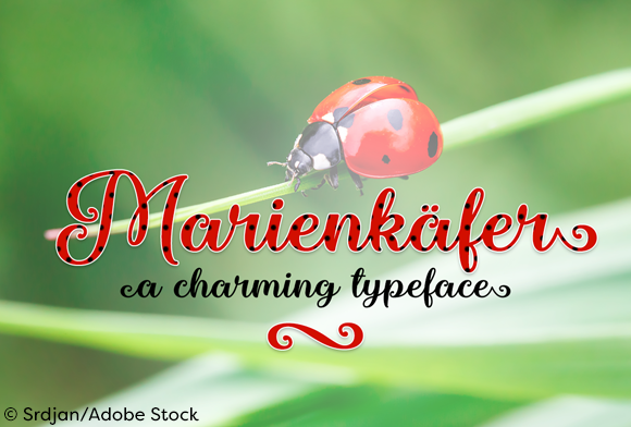 Marienkaefer: Elegant Script Font for Modern Web Design