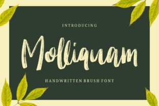 Molliquam: A Handwritten Typeface for Authentic Campaign Design
