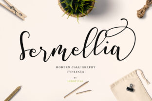 Sermellia: The Handwritten Typeface That Brings Authenticity to Campaign Design