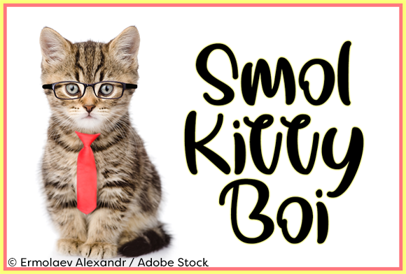 Smol Kitty Boi: The Playful Handwritten Font for Campaign Creatives