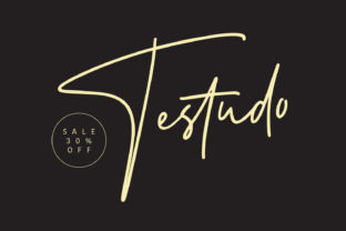 Testudo Typeface: Elevating Handmade Product Branding