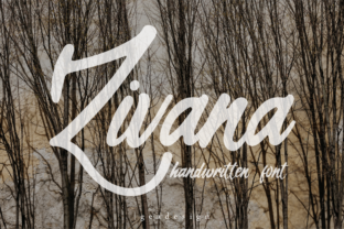 Zivana: A Handwritten Font for Modern Web Design